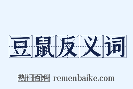 豆鼠反义词是什么意思的图片